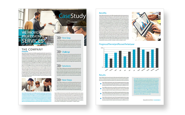 Sales Brief/Case Study Design